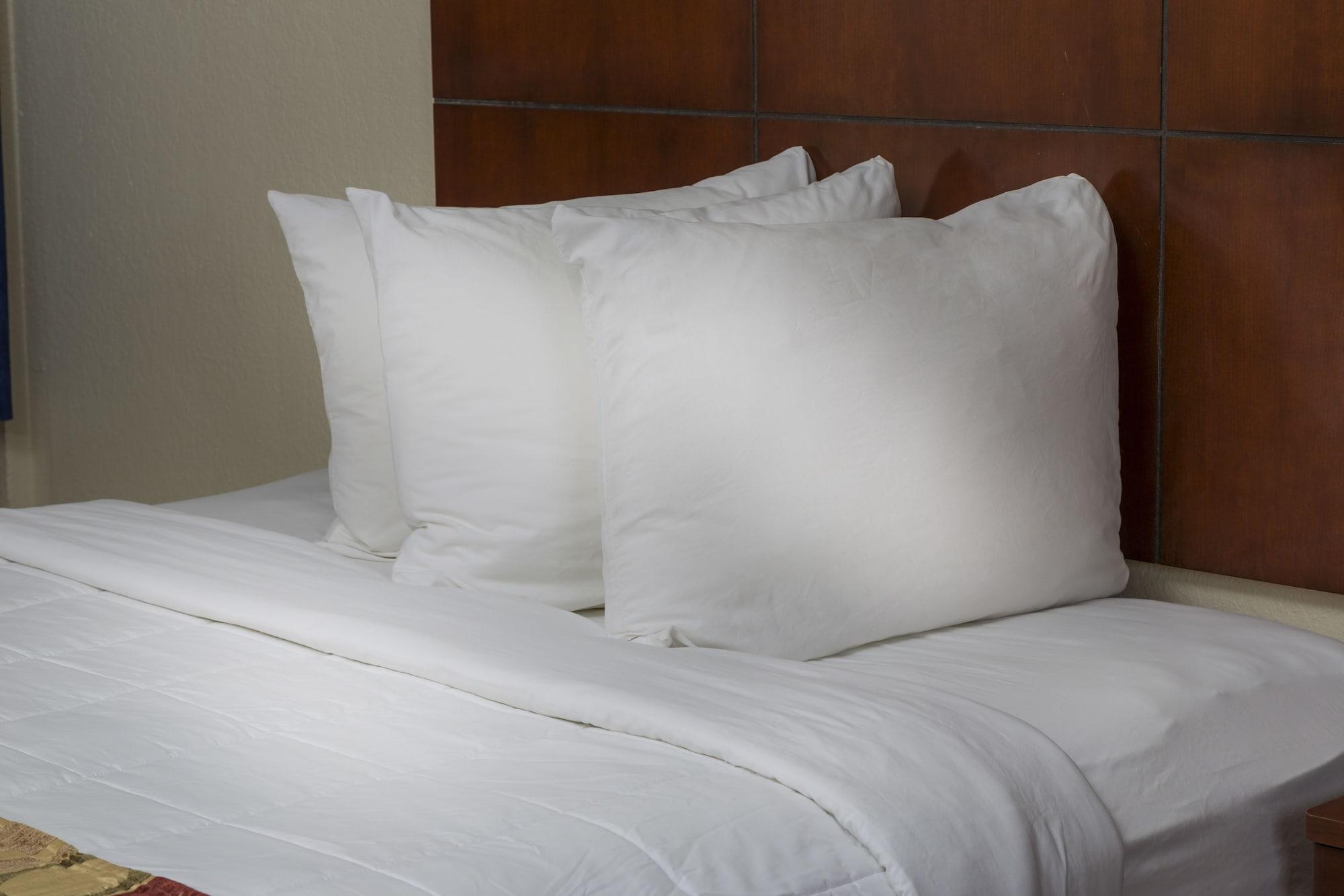 Hotel Flamingo Express 3*