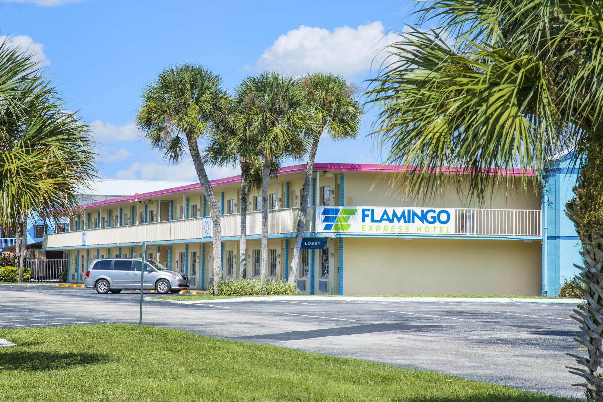 Flamingo Express